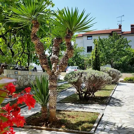 Apartament Urban Premium (adults Only) *
