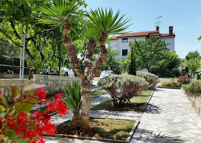 Appartement Urban Premium *